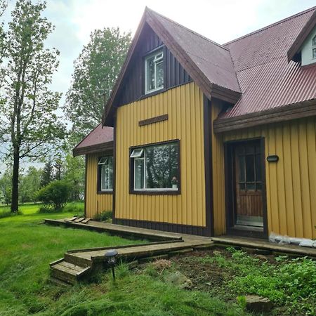 Heidi Guesthouse セルフォス エクステリア 写真