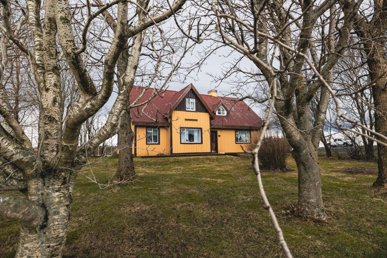 Heidi Guesthouse セルフォス エクステリア 写真
